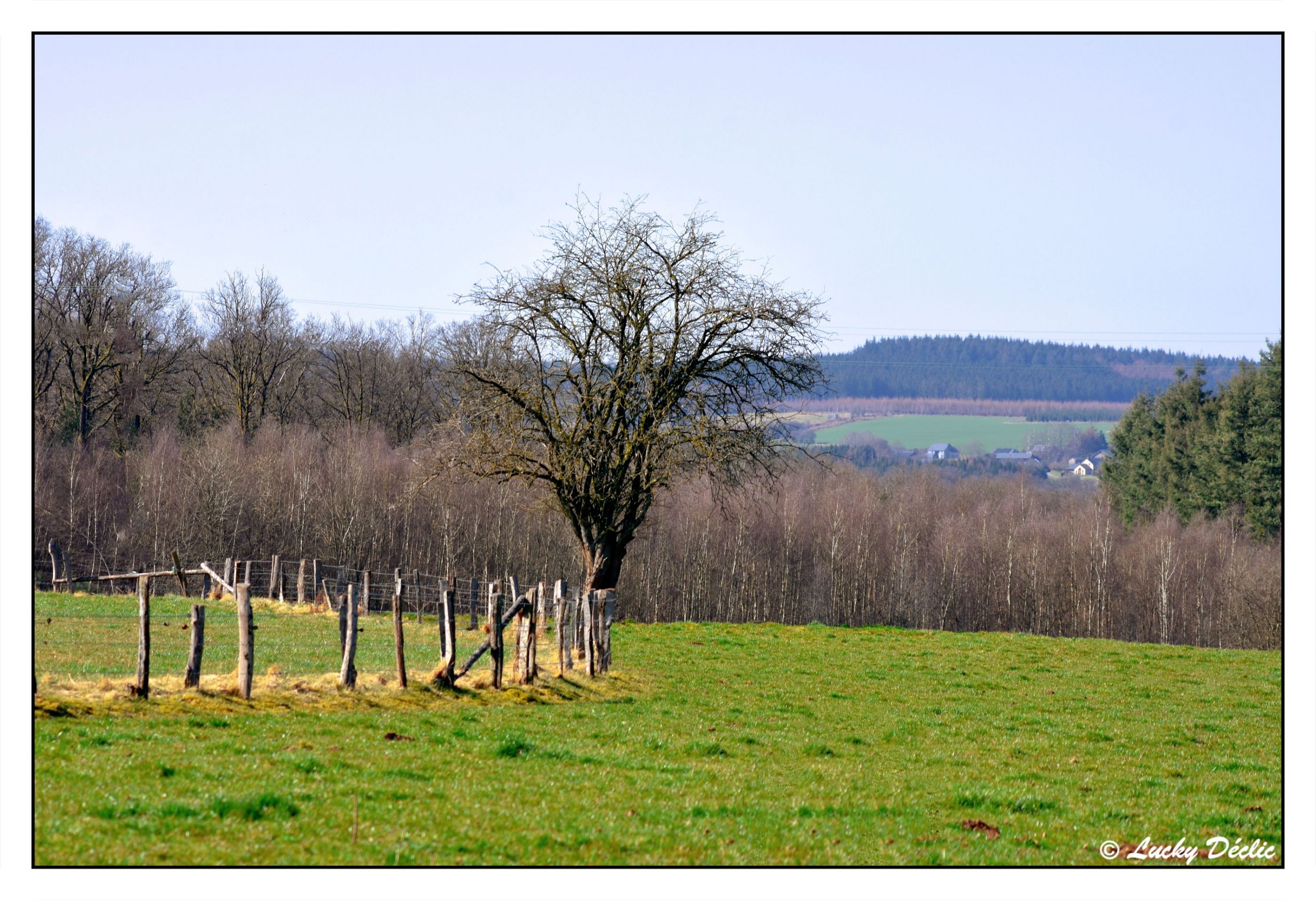 DSC_8406-Eraser_InPixio