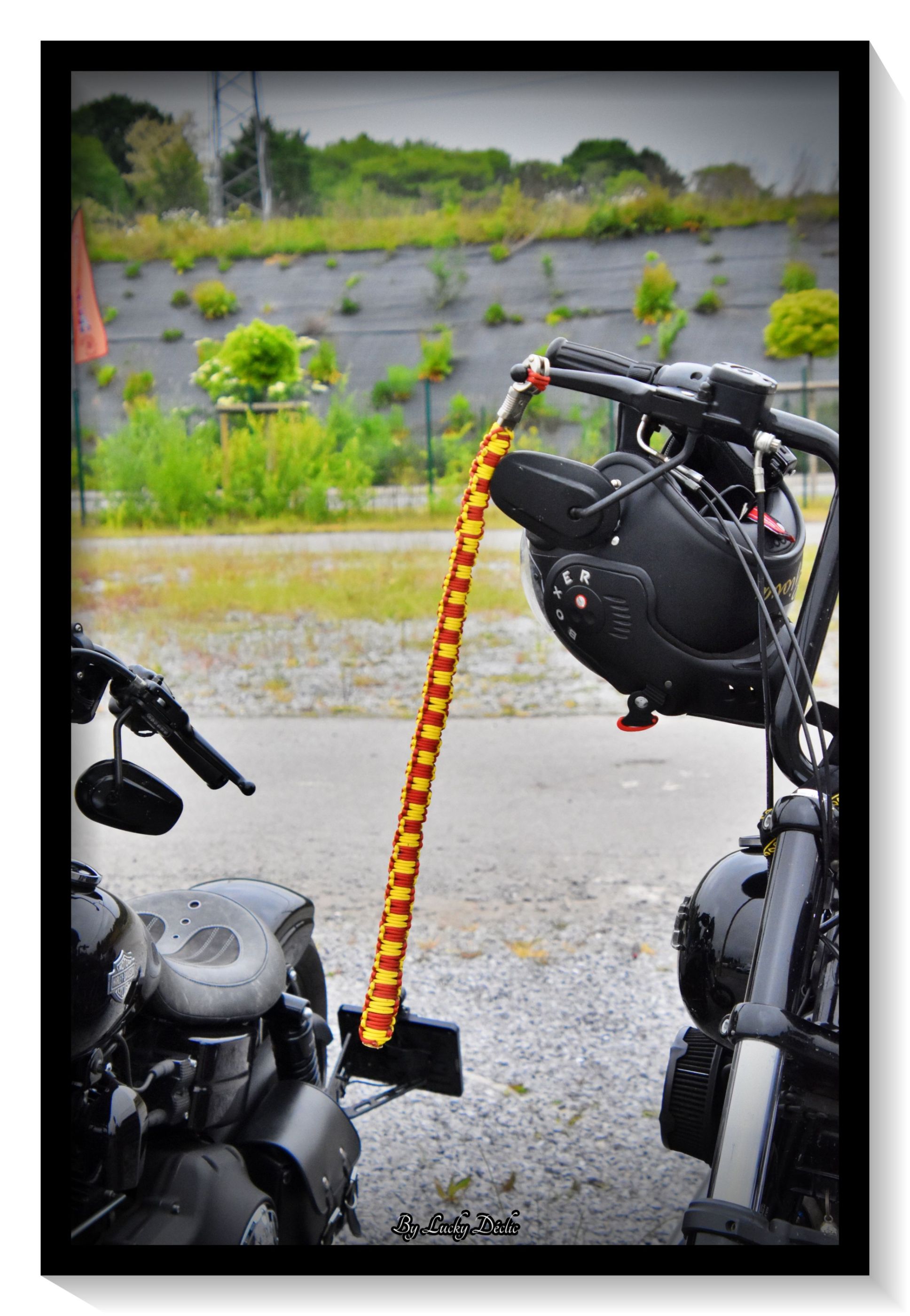 LUC_5162