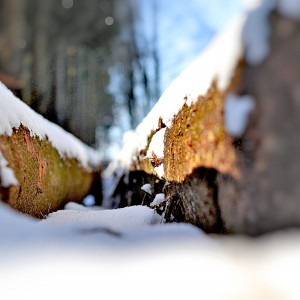 DSC_2872_InPixio