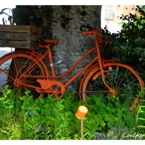 DSC_8335_InPixio