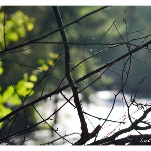 DSC_8728_InPixio