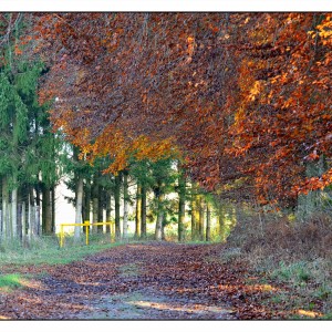 DSC_6190_InPixio