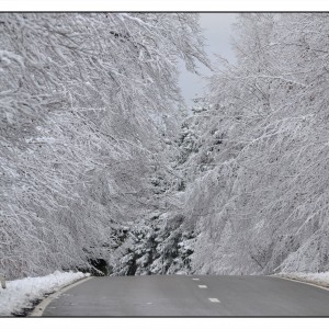DSC_6401_InPixio