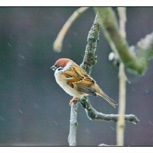 DSC_6767-Eraser_InPixio