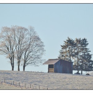 DSC_7141_InPixio