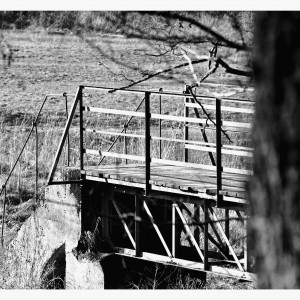 DSC_70196_InPixio_InPixio