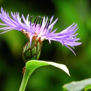 DSCN1715_InPixio