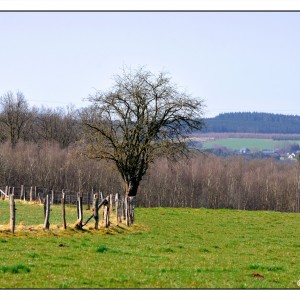 DSC_8406-Eraser_InPixio