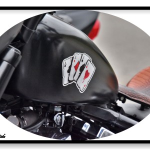 LUC_5164