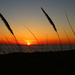 inbound7161899707690164284