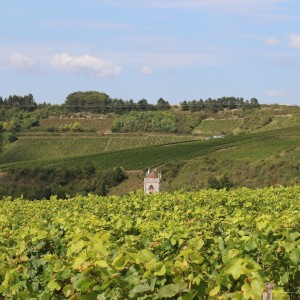 inbound6132452705644164180