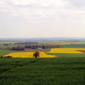 inbound1389380093391261814