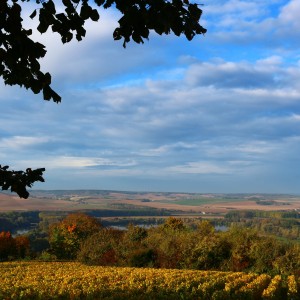 inbound1751337931167812902