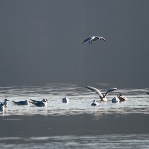 inbound1330755097087158545