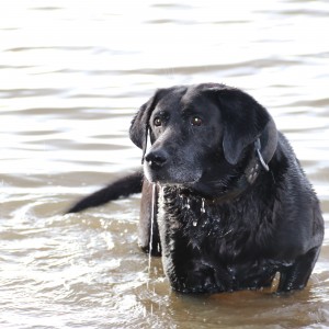 inbound130925823144404205