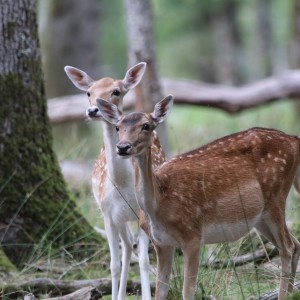 inbound5636188198079078012