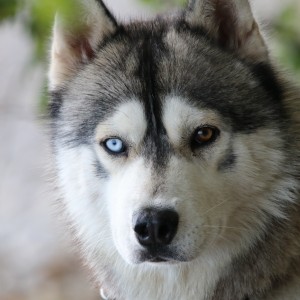 inbound7529966106628800286