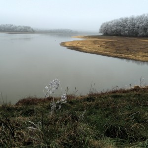 inbound7151422445359494073