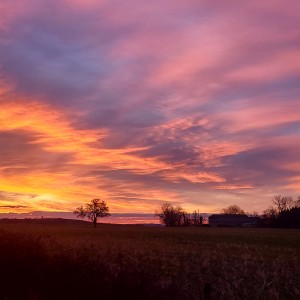 inbound1668631319853742776