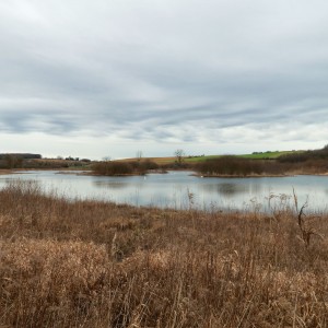 inbound6515045961170872442