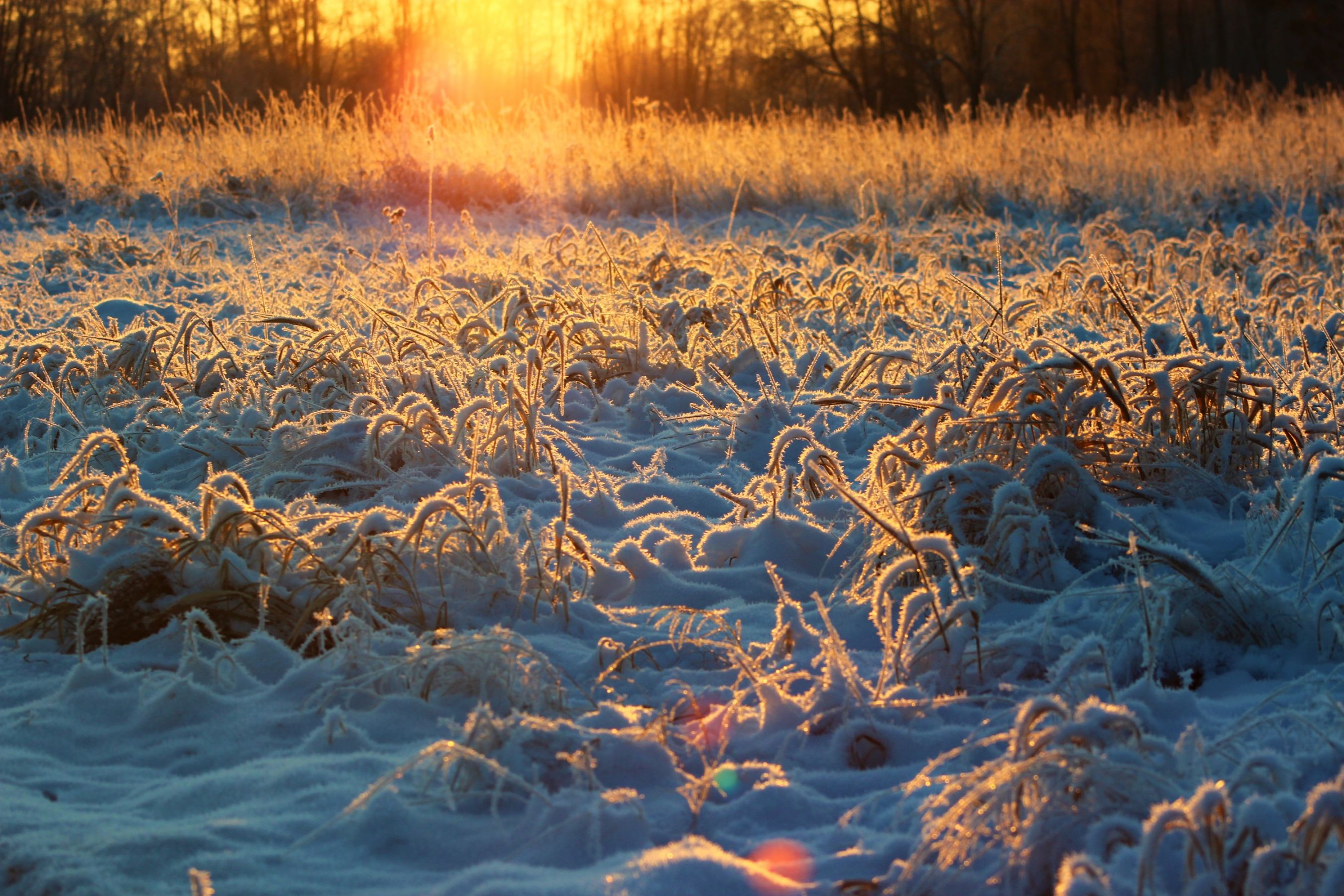 Sunset in the village