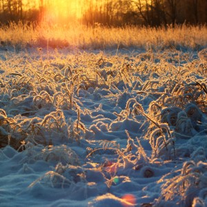 Sunset in the village