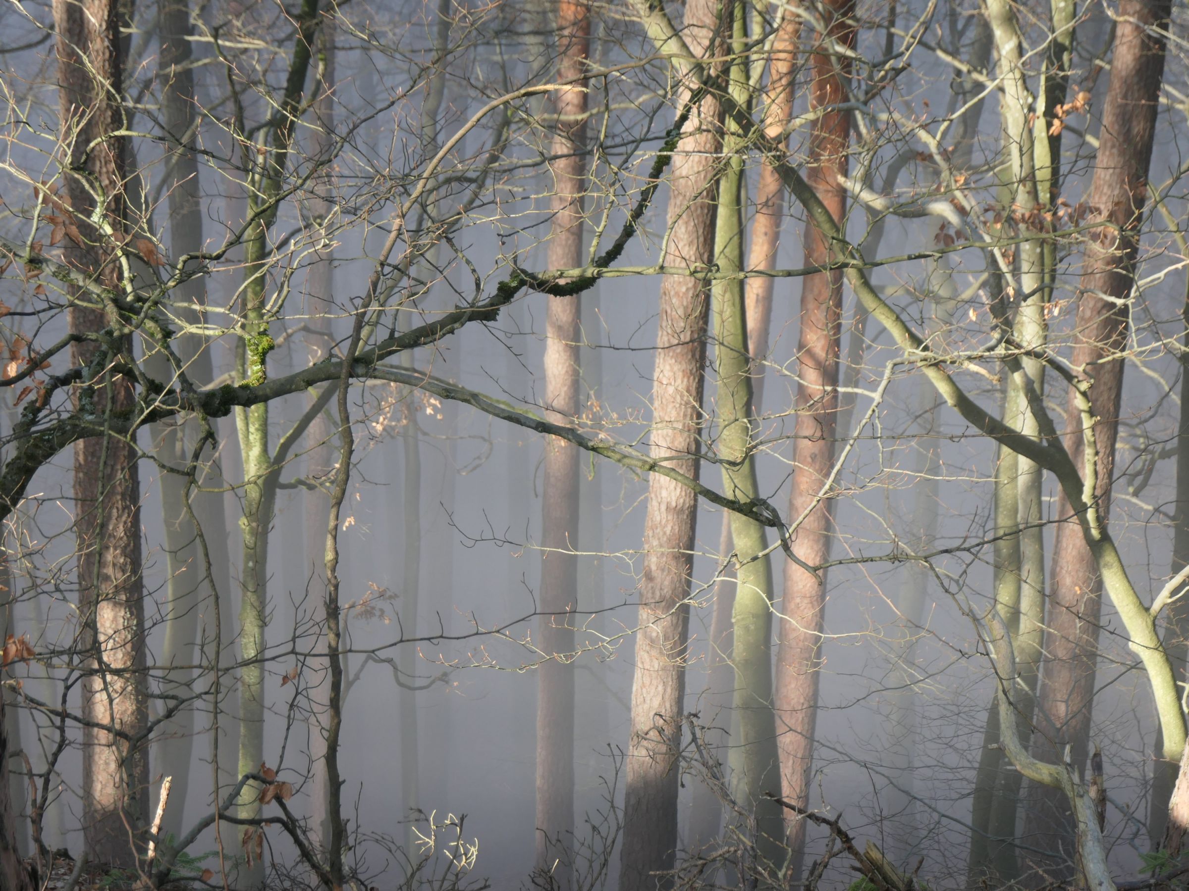 Couleurs surnaturelles