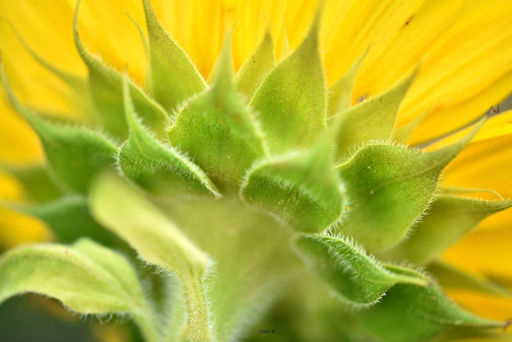 inbound2167141860773855274