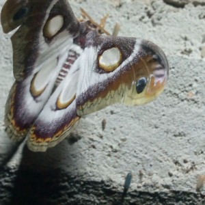 IMG_20210930_210914_920