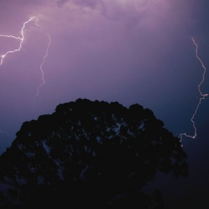 inbound7724266712183990083