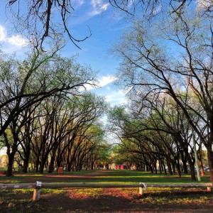 inbound8946705514617705259