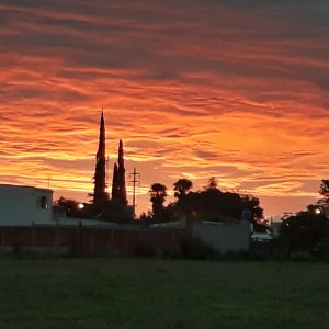 20201129_195546