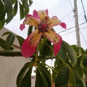 20190424_165350