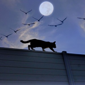 lune
