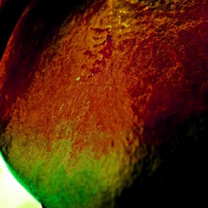 inbound7201294617683864786