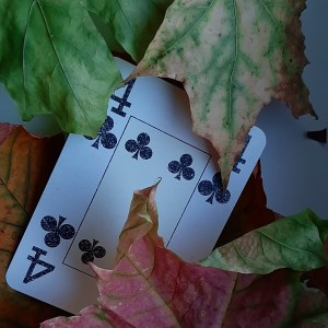 20211013_175020