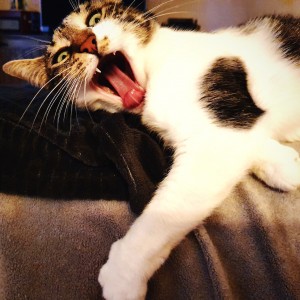 inbound1281519398419272043