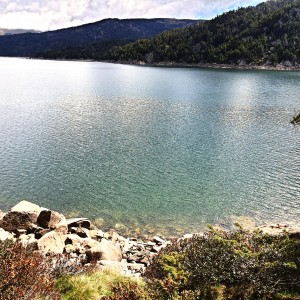 inbound7670005047289026799