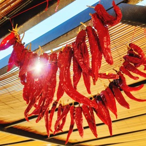 inbound771379428522579201