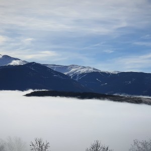 inbound376722023452720832