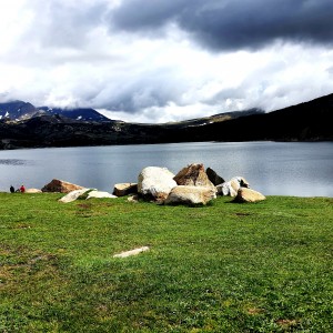 inbound8327411998879285566