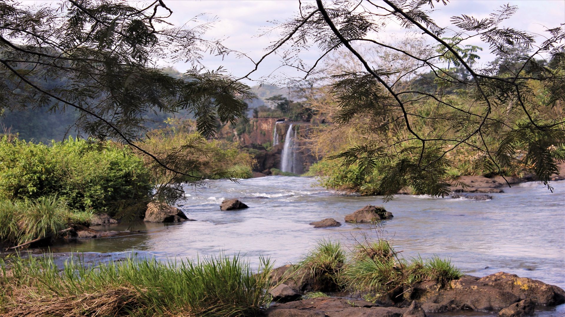 UN RINCON DEL IGUAZU