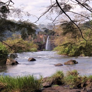 UN RINCON DEL IGUAZU