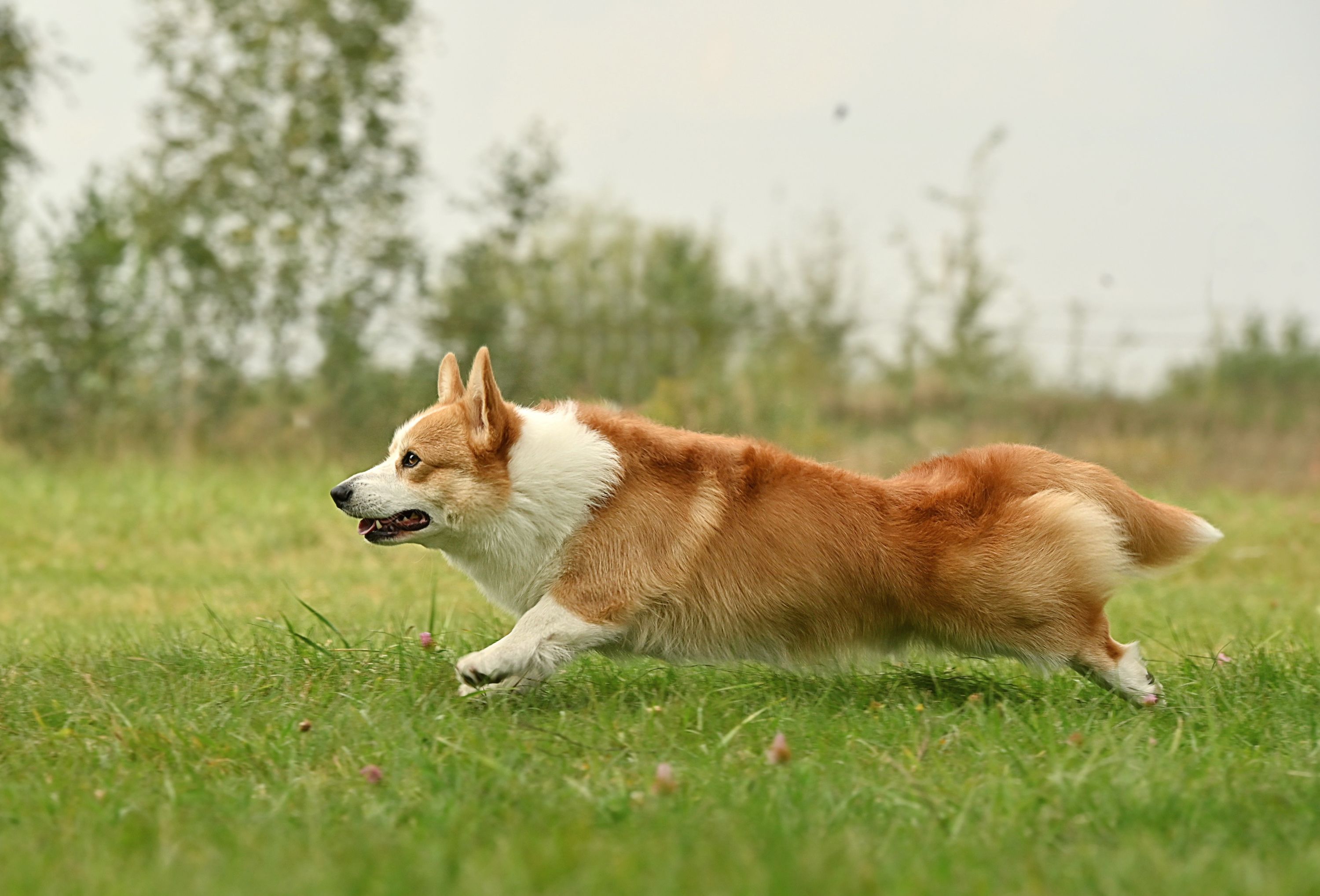 inbound222753632353858085