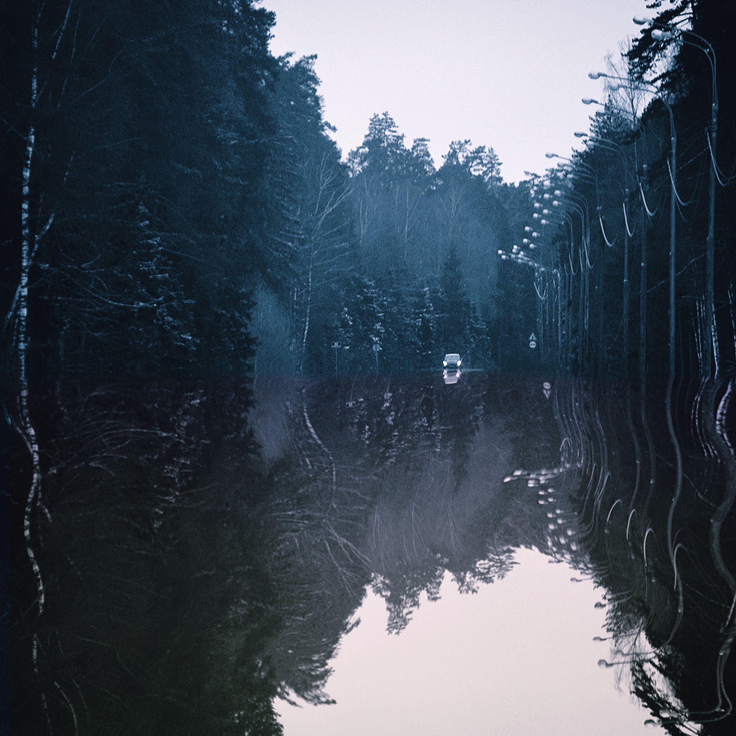 Polish_20230119_000934136