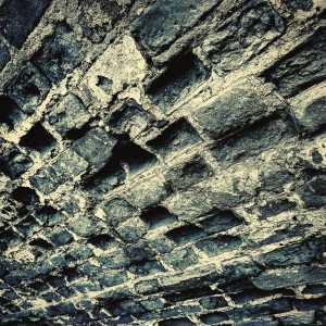 inbound843352849312990456