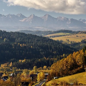 DSC06587_filtered_fb