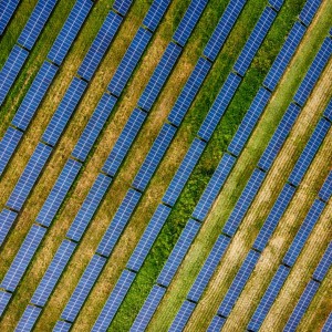 Solar Fields