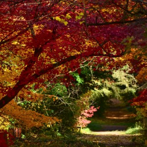 Kolory ciszy i spokoju...