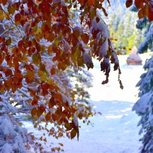 Jesienne okno na świat...0039